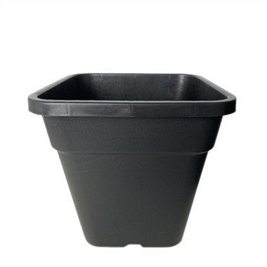 3 গ্যালন স্কয়ার পাত্র